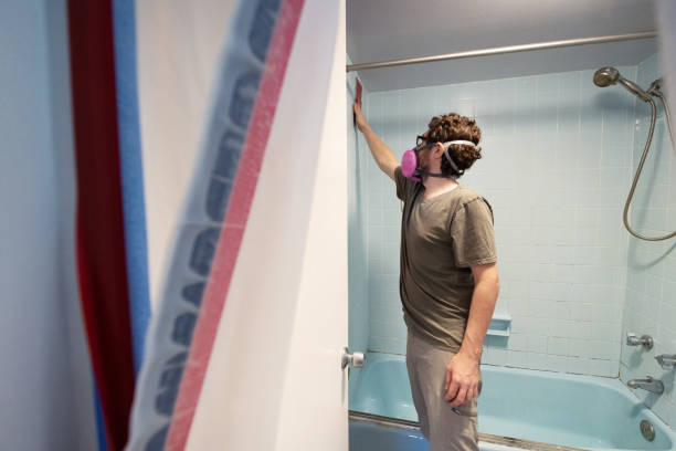 Mold Odor Removal Services in Shillington, PA