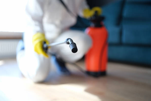 Best HVAC Mold Inspection and Cleaning  in Shillington, PA