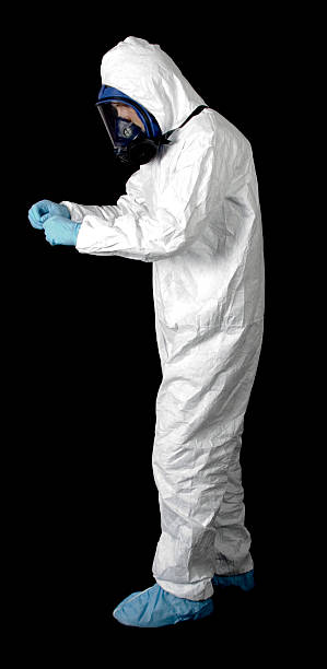 Best Basement Mold Removal  in Shillington, PA